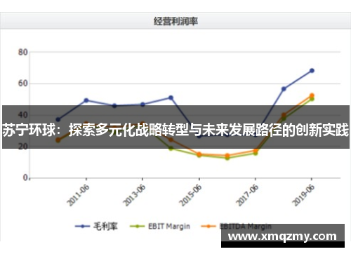 苏宁环球：探索多元化战略转型与未来发展路径的创新实践