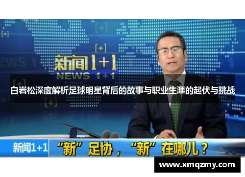 白岩松深度解析足球明星背后的故事与职业生涯的起伏与挑战