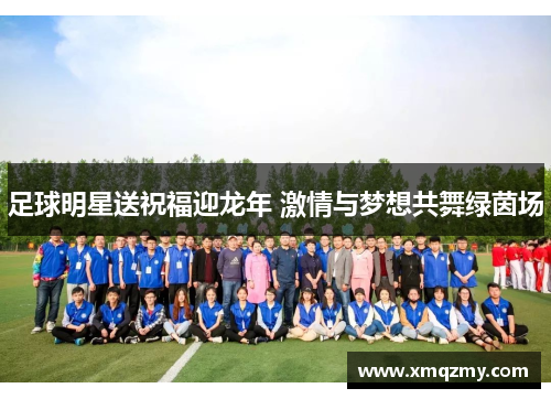 足球明星送祝福迎龙年 激情与梦想共舞绿茵场