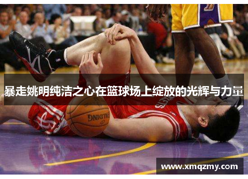 暴走姚明纯洁之心在篮球场上绽放的光辉与力量
