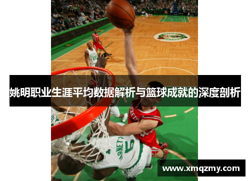 姚明职业生涯平均数据解析与篮球成就的深度剖析